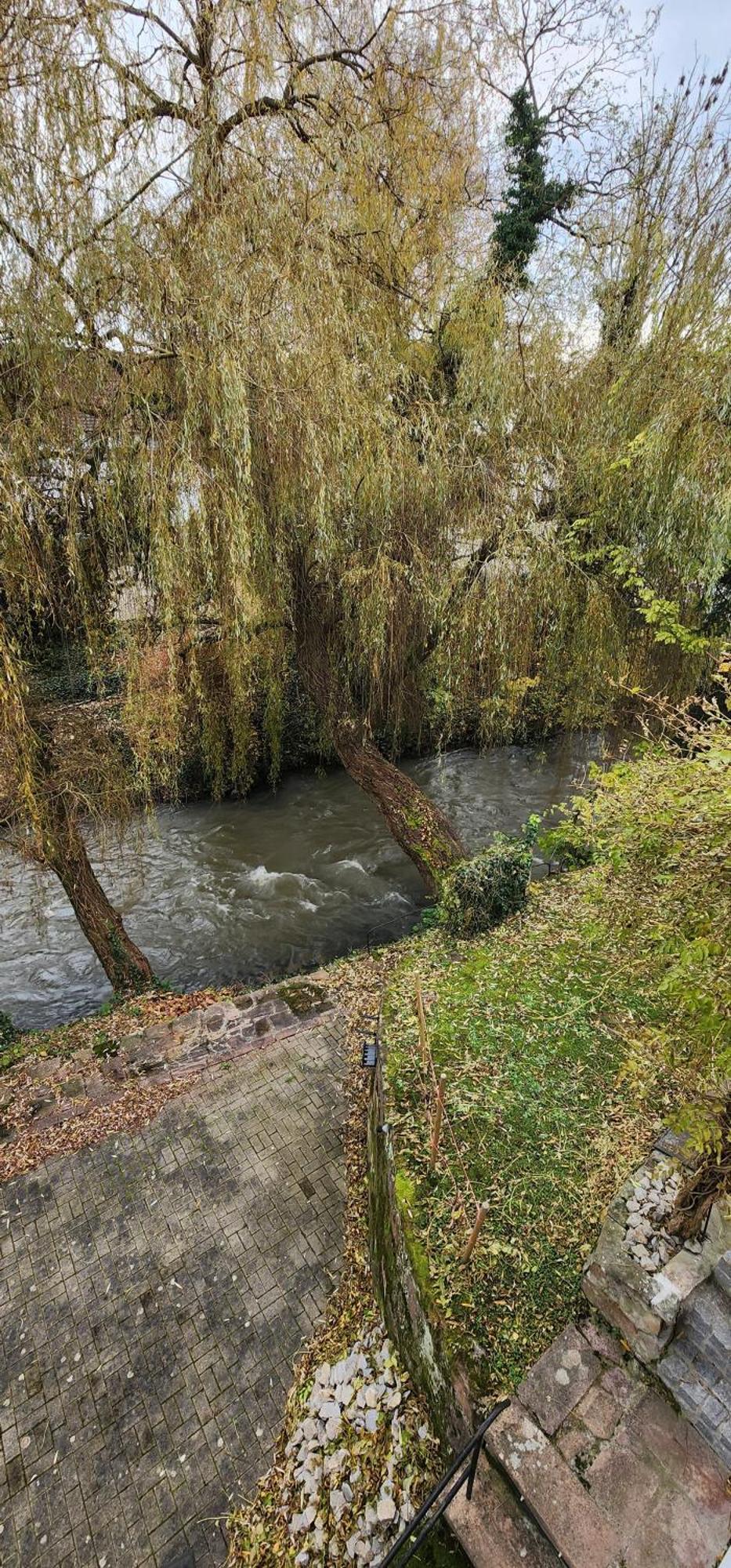 Glycine Daire Offendorf Dış mekan fotoğraf